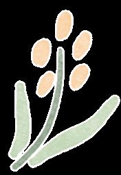 DƬ